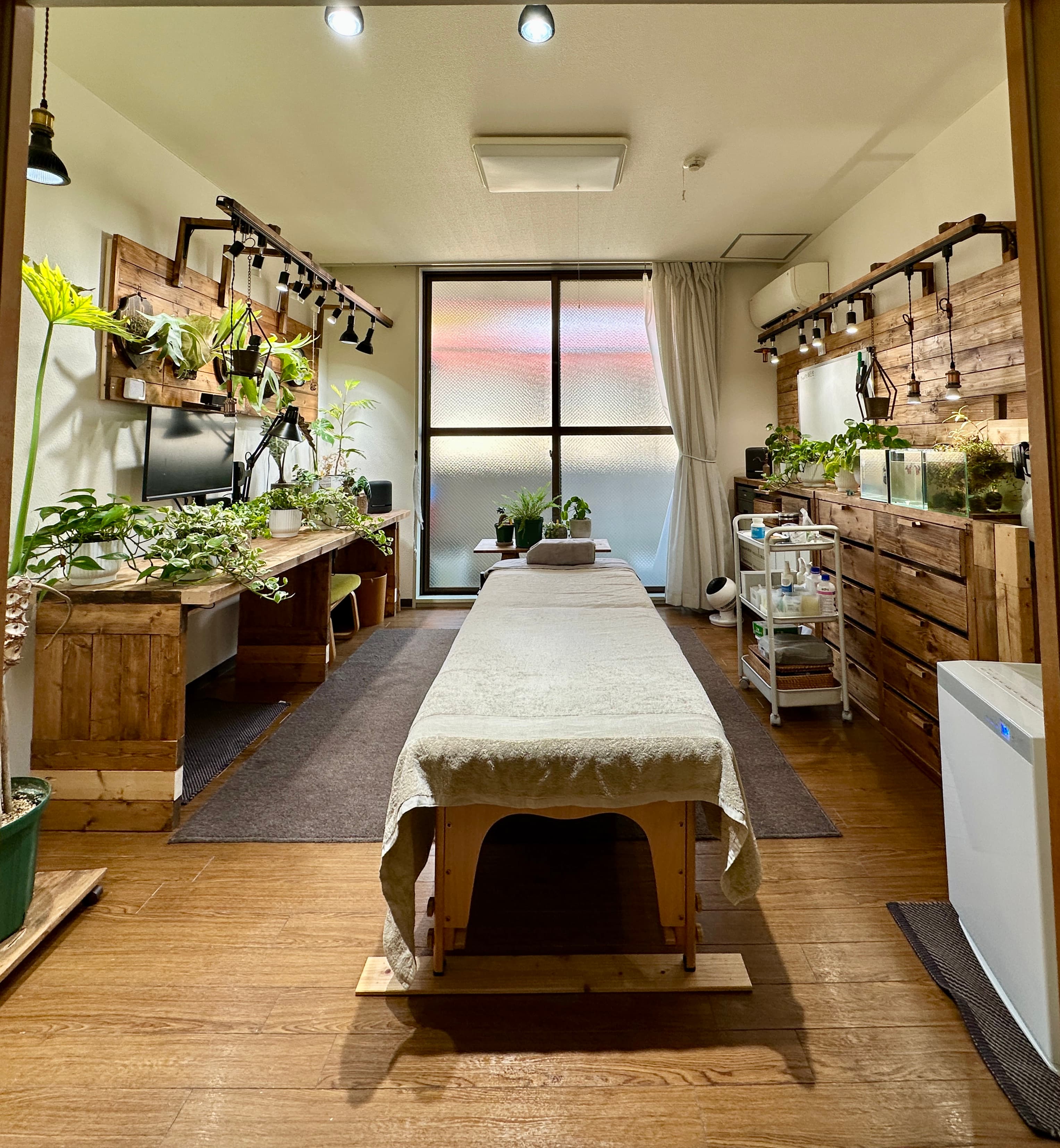 グリーンと木の家具に囲まれた治療室全体