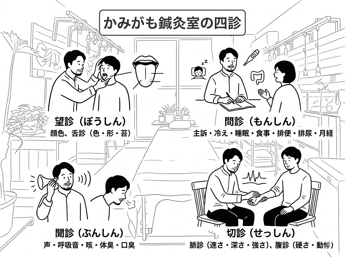 かみがも鍼灸室の四診 — 望診・聞診・問診・切診のイラスト
